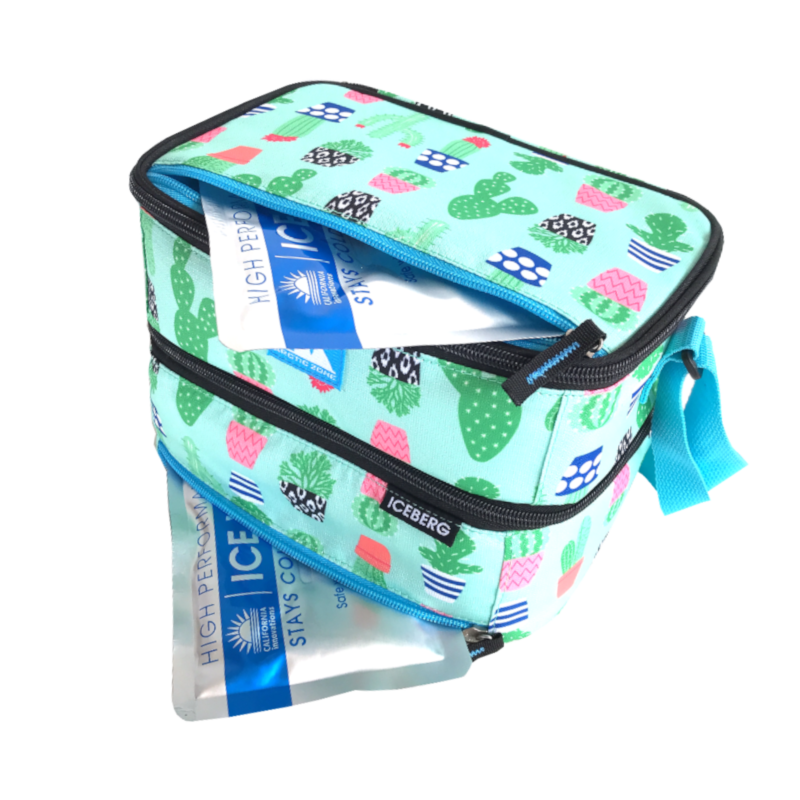 Mini Hippo - Wholesale Lunch Bag/Box - Arctic Zone Dual Compartment Lunch Pack7