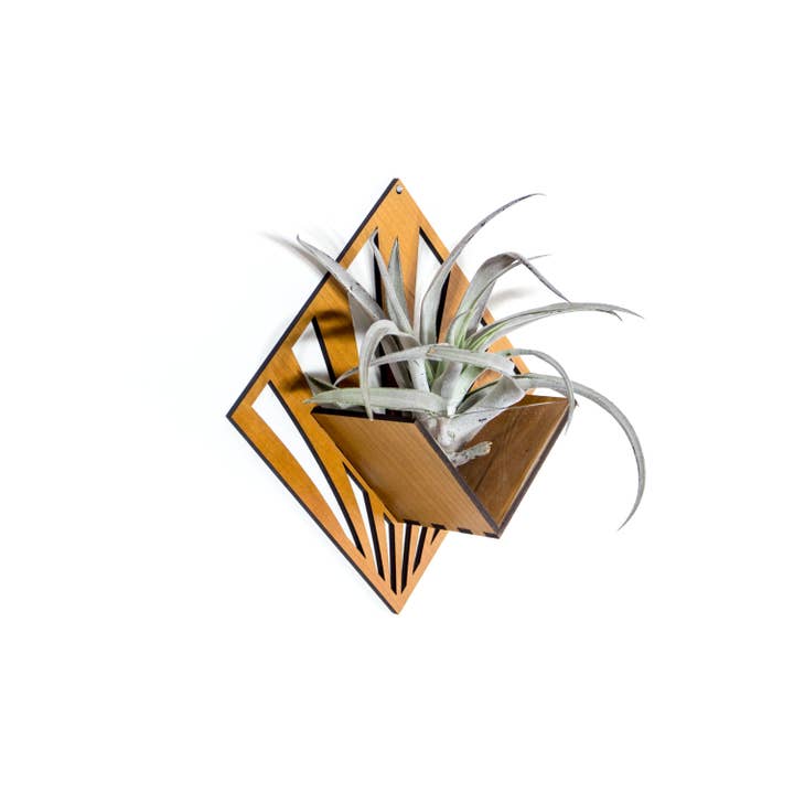 LIGHT RAZOR DESIGN STUDIO - Wholesale Wall planter - Air Plant Holder / Quadrate Wall Hanging Planter 258