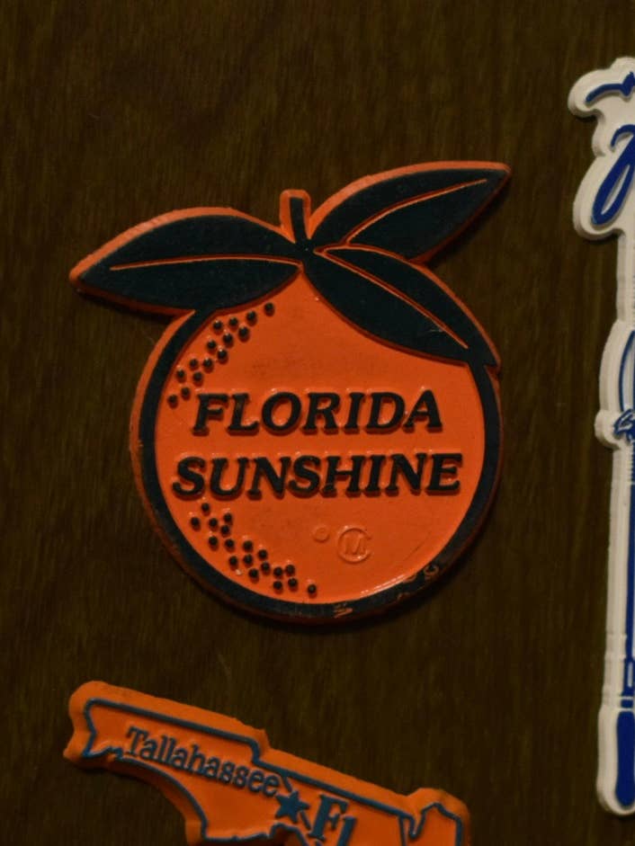 Aimant en caoutchouc vintage Florida Sunshine pour la vente par 5801 Print House