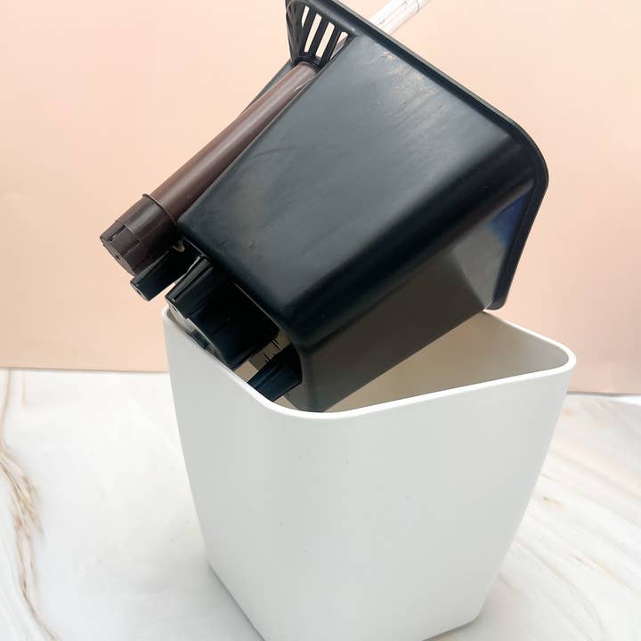 Propagation Diaries - Wholesale Plant Pot - 6" Self Watering Moo Pot2