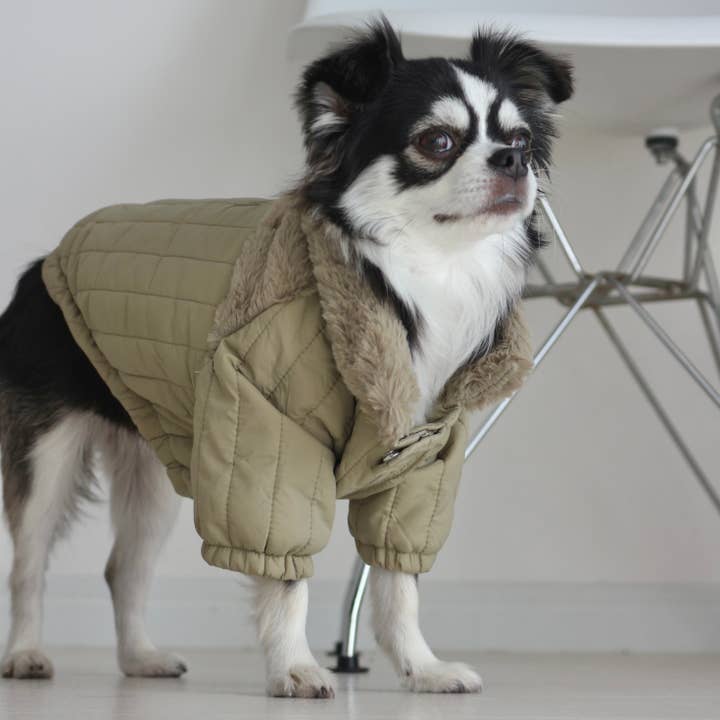 Lambwolf Collective - Wholesale Pet Coat - Dog - SOHO//DOG CLOTHING//APPAREL
