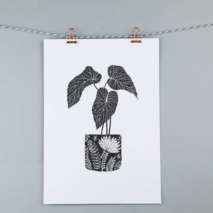 A3 art print - black & white begonia plant illustration for wholesale by Maggie Magoo Designs