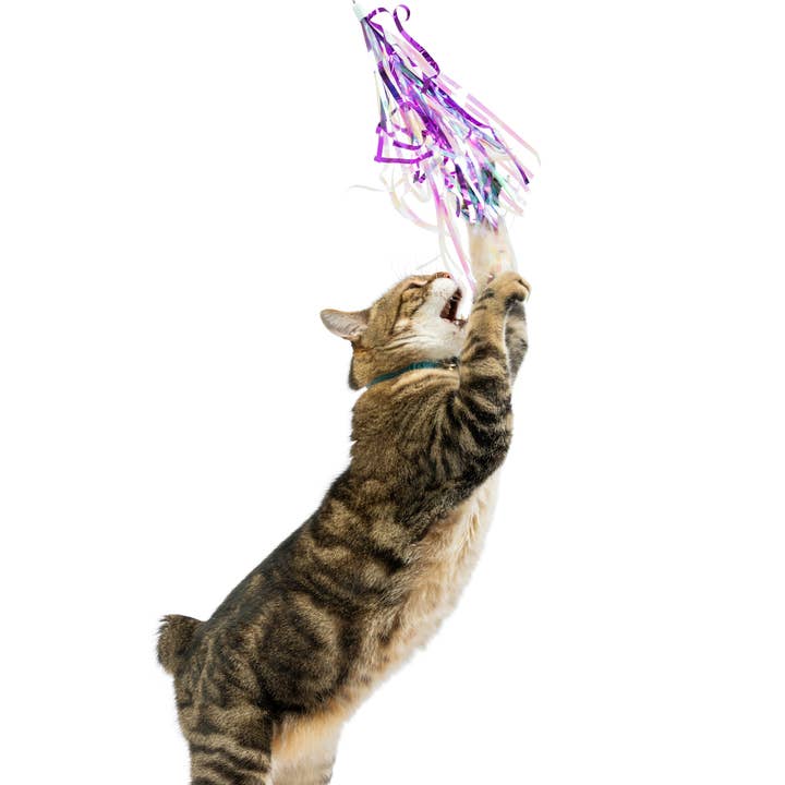 Huxley & Kent - Vente Jouet – chat - Recharge de jouets pour chat avec libellules volantes, lot de 22