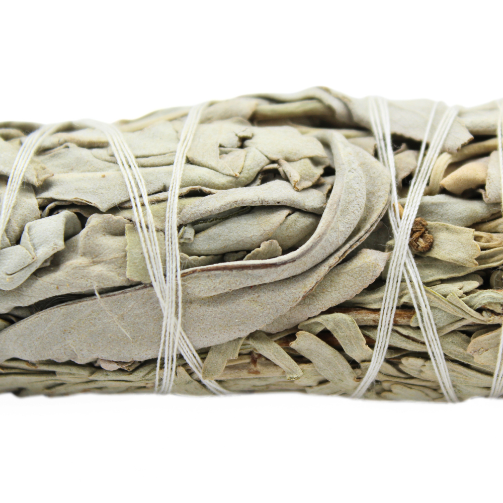 Green Tree – Pacote de sálvia por atacado – Pau de Incenso de Sálvia Branca & Sálvia Azul 10cm1