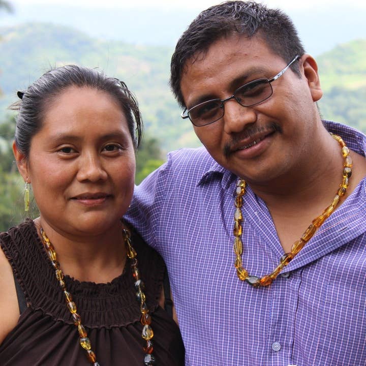 Preemptive Love - Wholesale Dangle Earrings - Amber Bar Earrings10