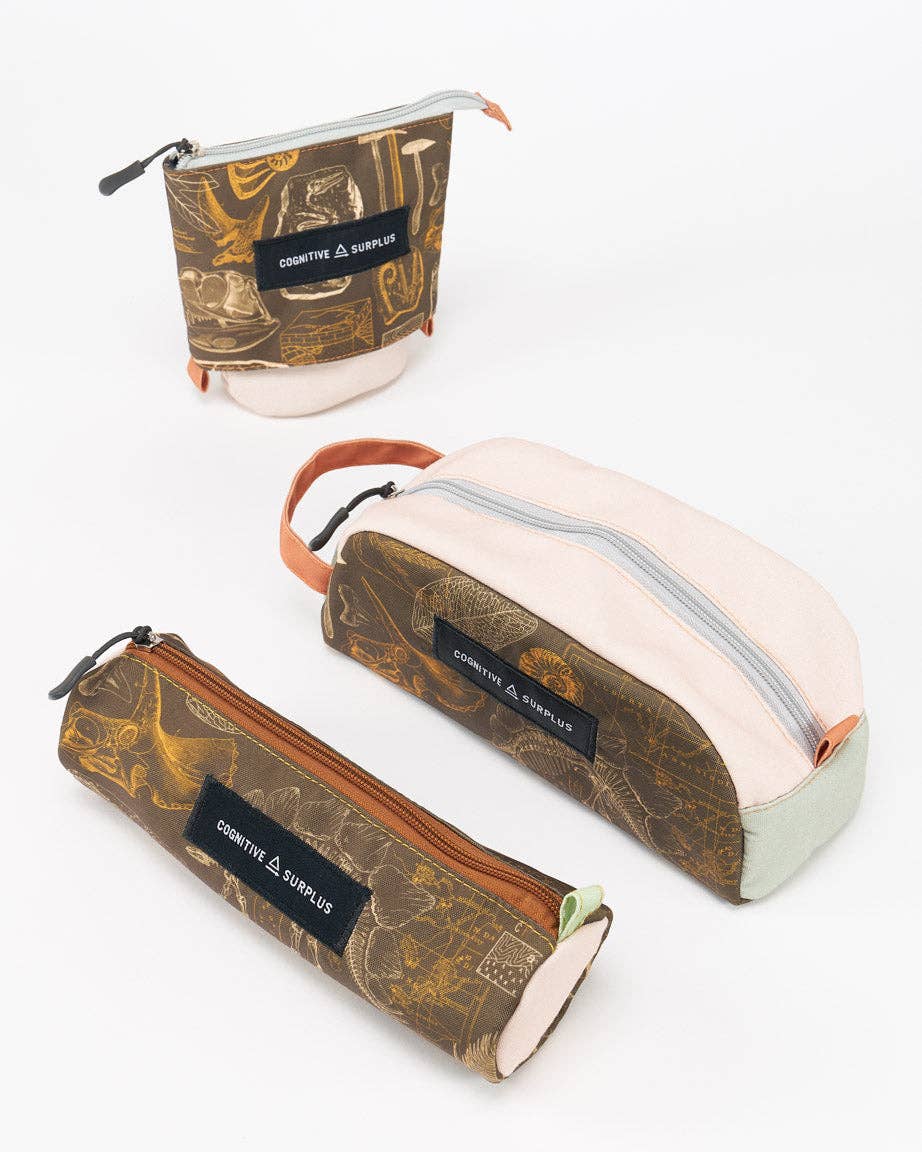 Cognitive Surplus – wholesale Pencil case/pouch – Dinosaur Zipper Bags (Case of 6)6