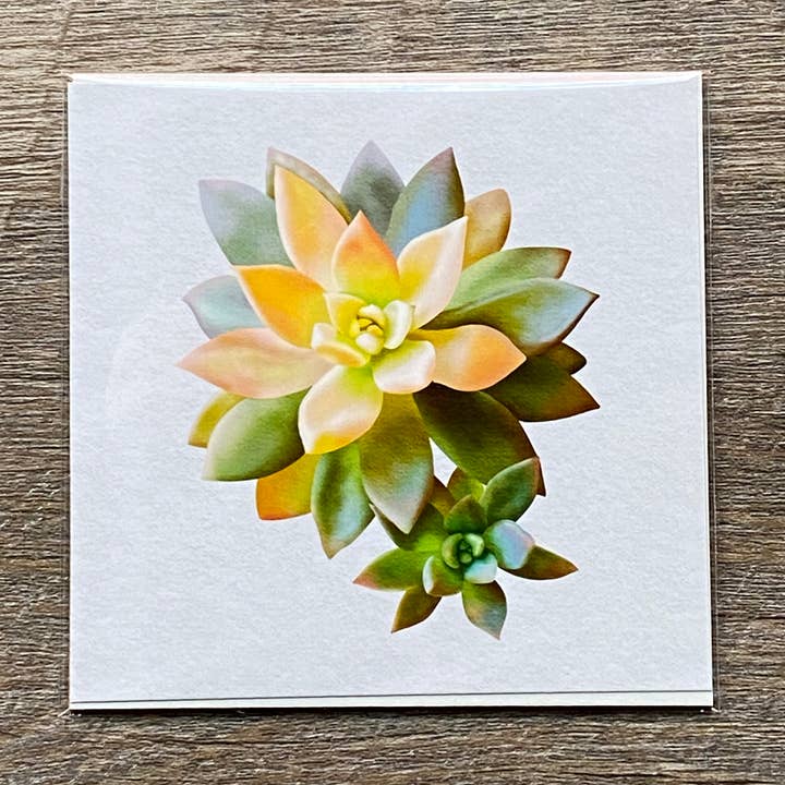 4x4 Succulent Art Print, Plant Art Print for wholesale by blonde birdie