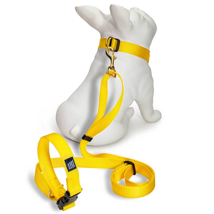 Guinzaglio giallo per la vendita all'ingrosso da parte di Knick Knack Paddywhack Dog Gear