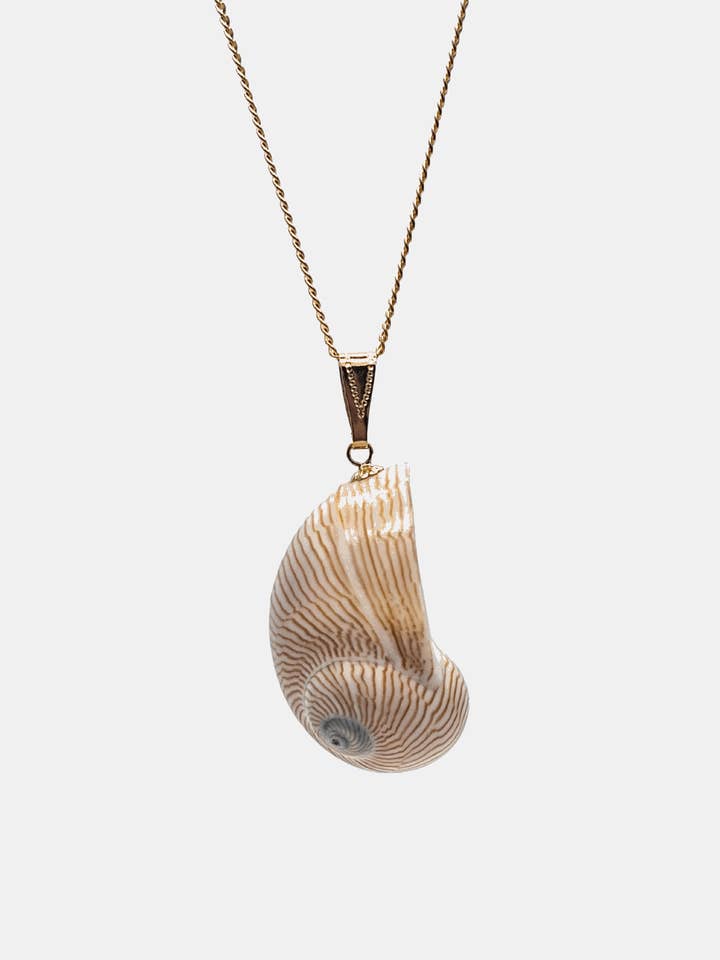 Collier coquillage Line for wholesale by LA MAISON GISEL B.