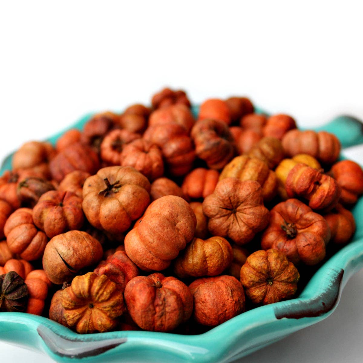 Oily Blends - Wholesale Potpourri - Fall Mini Pumpkin Potpourri Packs10