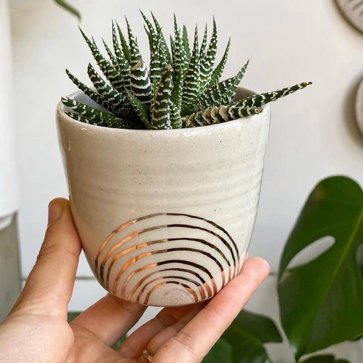 ceramic tabletop planter and drip tray
for wholesale by Pickle Pottery