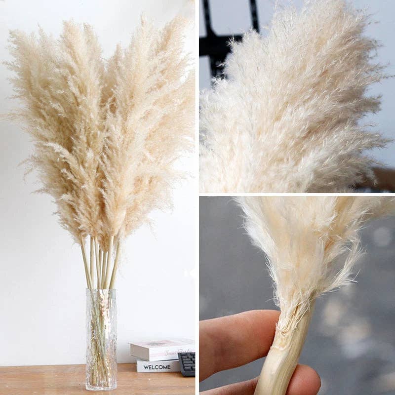 BRECK + FOX - Wholesale Dried/Pressed Flowers - Dried Natural Grass Plumes 10-Piece Set3