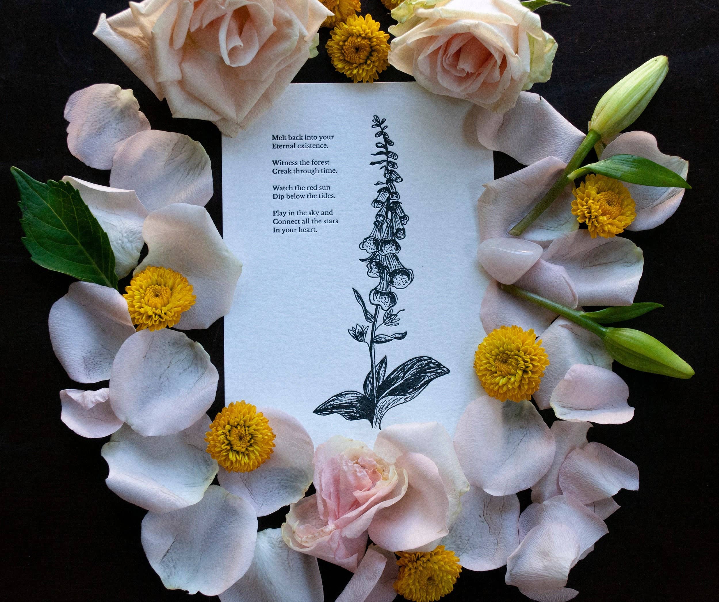 Velvetback - Wholesale Art Print - Foxglove 5" x 7" Botanical Letterpress Print5