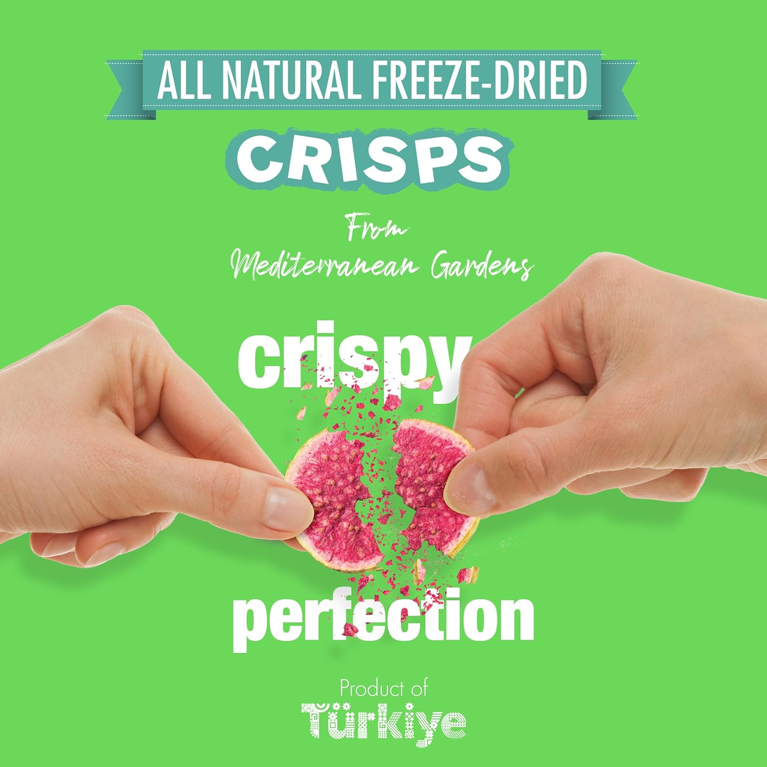 MAG - Wholesale Dried/Dehydrated Fruit - MAG Freeze Fruit Banana Snacks Frozen Dry Fruit Slices Fresh5