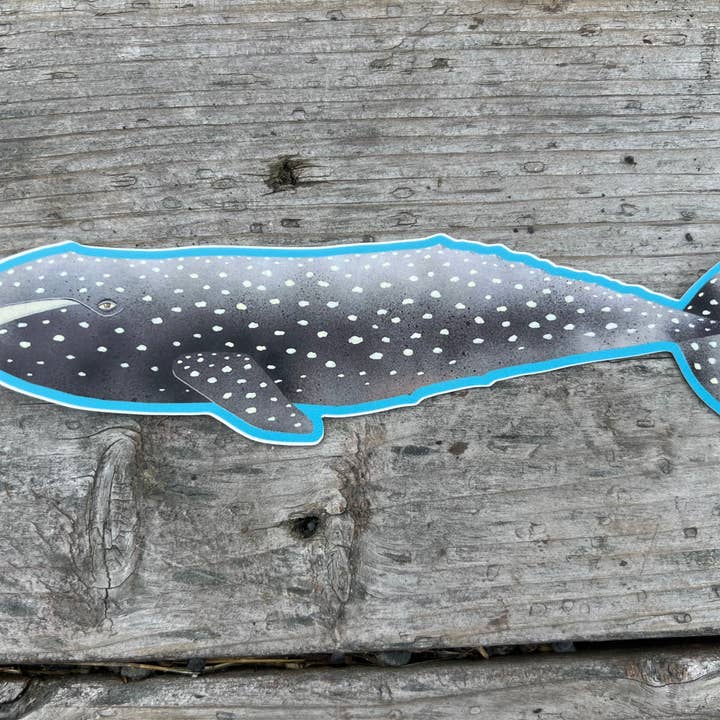 Gray Whale Sticker for wholesale by Beeswag Creations