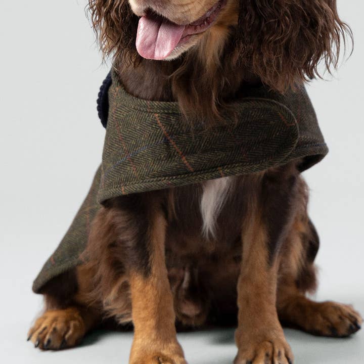 Hackett x Hugo Hudson donkergroen geruit tweed hondenjack voor wholesale door Hugo & Hudson