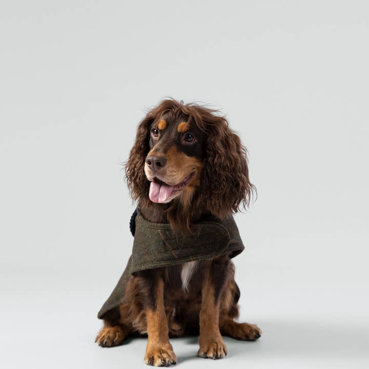 Hugo & Hudson - Wholesale Pet Jacket - Dog - Hackett x Hugo Hudson Dark Green Checked Tweed Dog Jacket