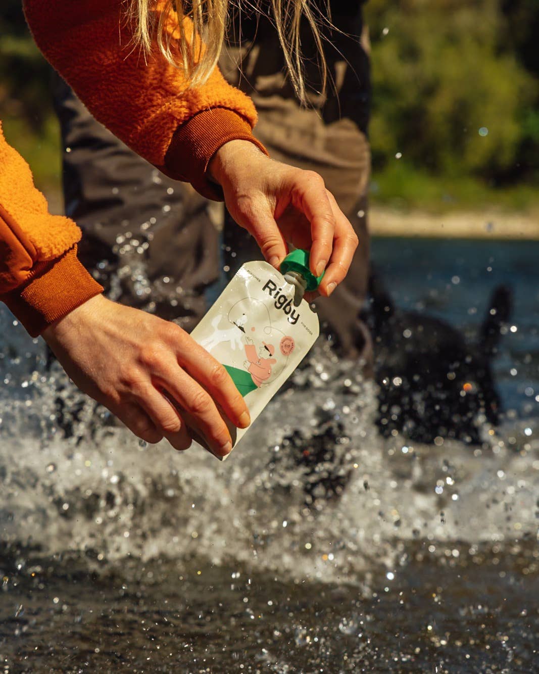 Rigby - Wholesale Pet Treats - Dog - Organic Salmon Squeeze Pouch for Dogs - 6 Pack6