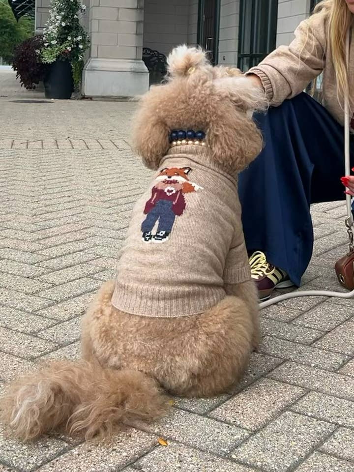 Maglione per cani Foster The Fox per la vendita all'ingrosso da parte di GIGI’S USA