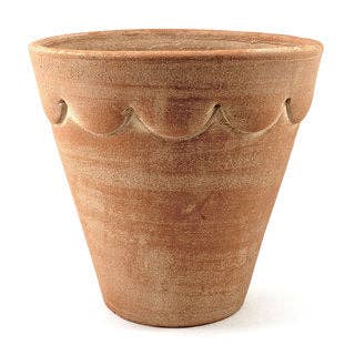 Botanical Collections - Wholesale Plant Pot - Orleans #2 - Set of 40