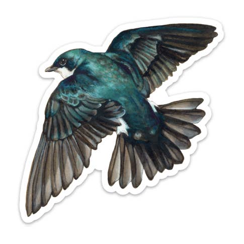 Tree Swallow STICKER for wholesale by Amy Rose Moore Illustration