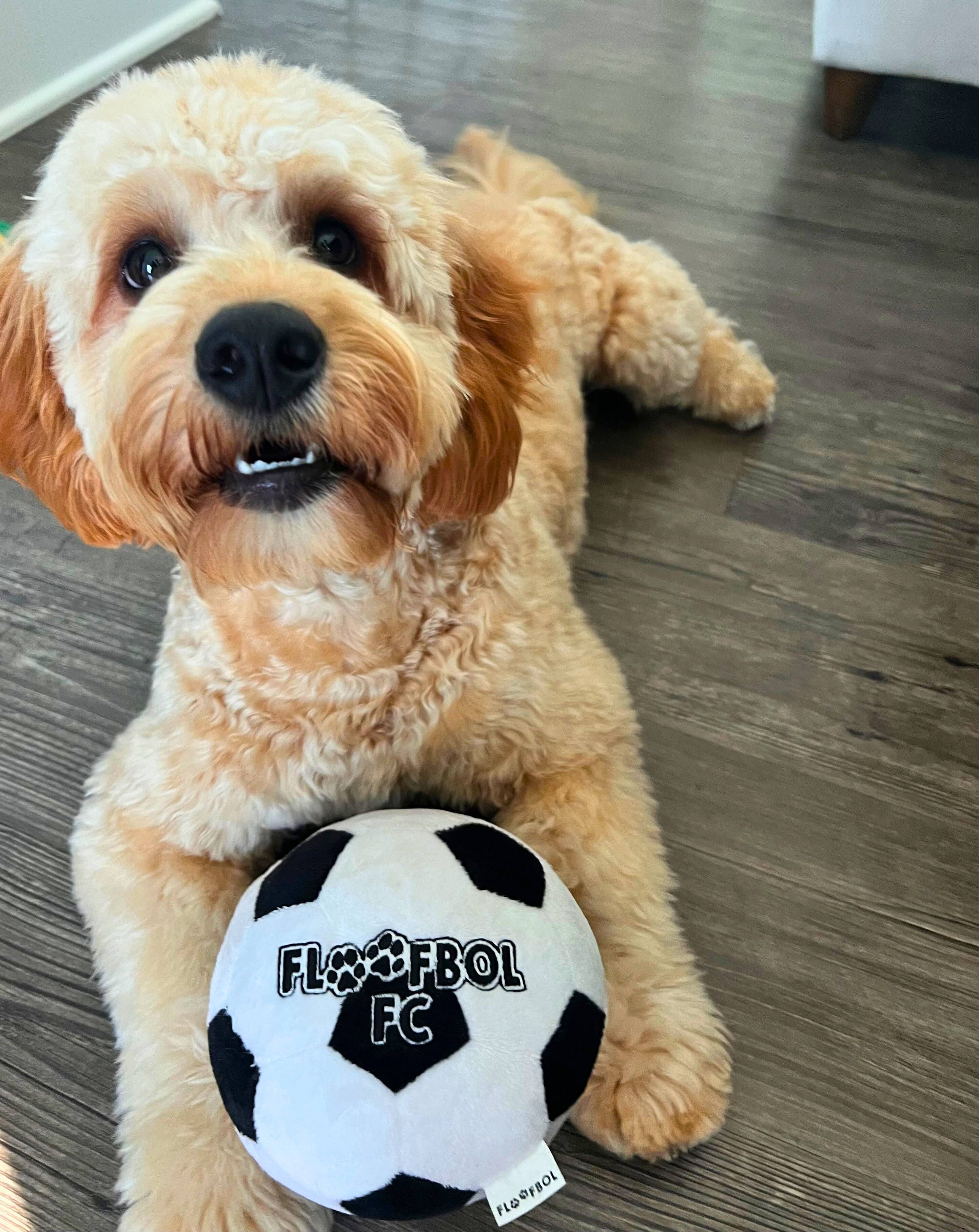 Floofball – Großhandel Plüschtier – Hund – Floofbol FC Fußball-Hundespielzeug aus Plüsch4