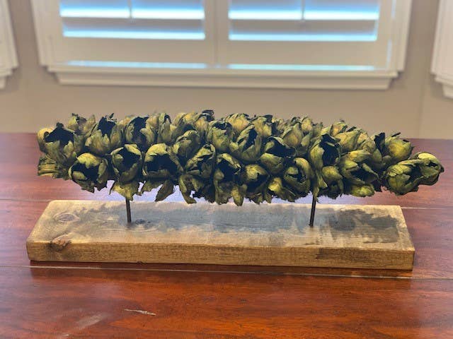 Forever Green Art – wholesale Dekorativt bordsobjekt – Seed pod Medium1