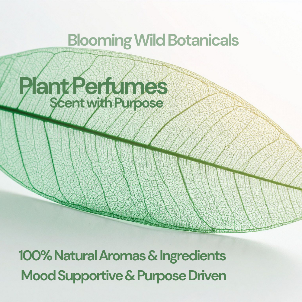 Blooming Wild Botanicals - Wholesale Roll-On Fragrance - Eunoia Botanical Perfume Oil Roller Ball | Orange Grapefruit2