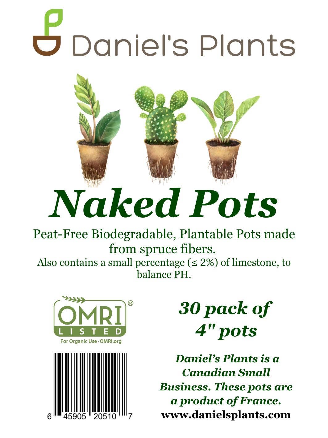 Daniel's Plants - Wholesale Plant Pot - NO DUTIES 30 Pc 4" Naked Pots | Plantable Seed Starter Pots1