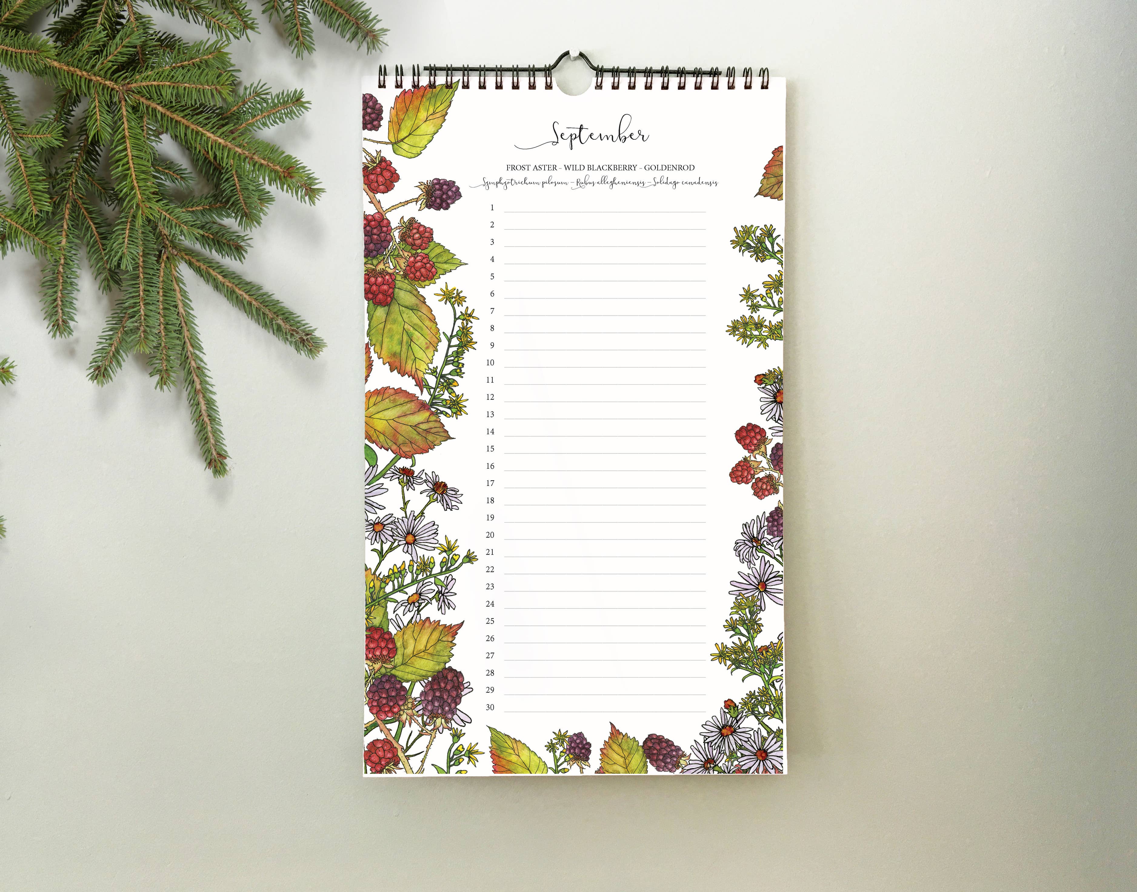 Wander & Gather - Wholesale Calendar - Native Plant Perpetual Birthday Calendar2