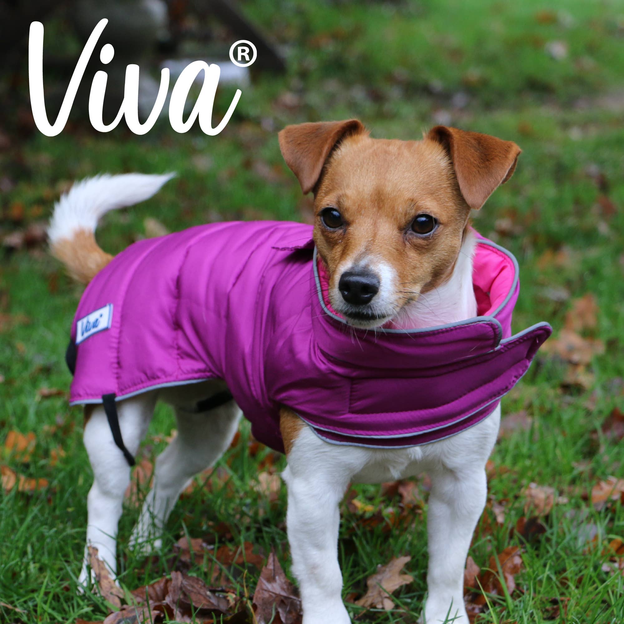Ancol Pet Products Ltd - Wholesale Pet Coat - Dog - Viva Reversible Dog Coat Pink/Purple1