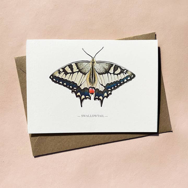 Swallowtail illustrated butterfly A6 card - blank inside for wholesale by Fearless Flamingo