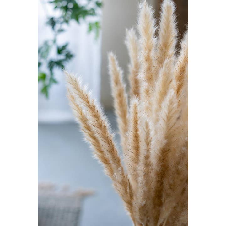 A&B Home Group Inc. - Wholesale Artificial plant - 8x1.2x27.5"H 6pc/Bag Taupe Pampas Grass Cluster7