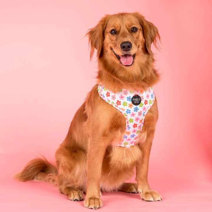 Posy: Adjustable Harness for wholesale by Pablo & Co. Boutique