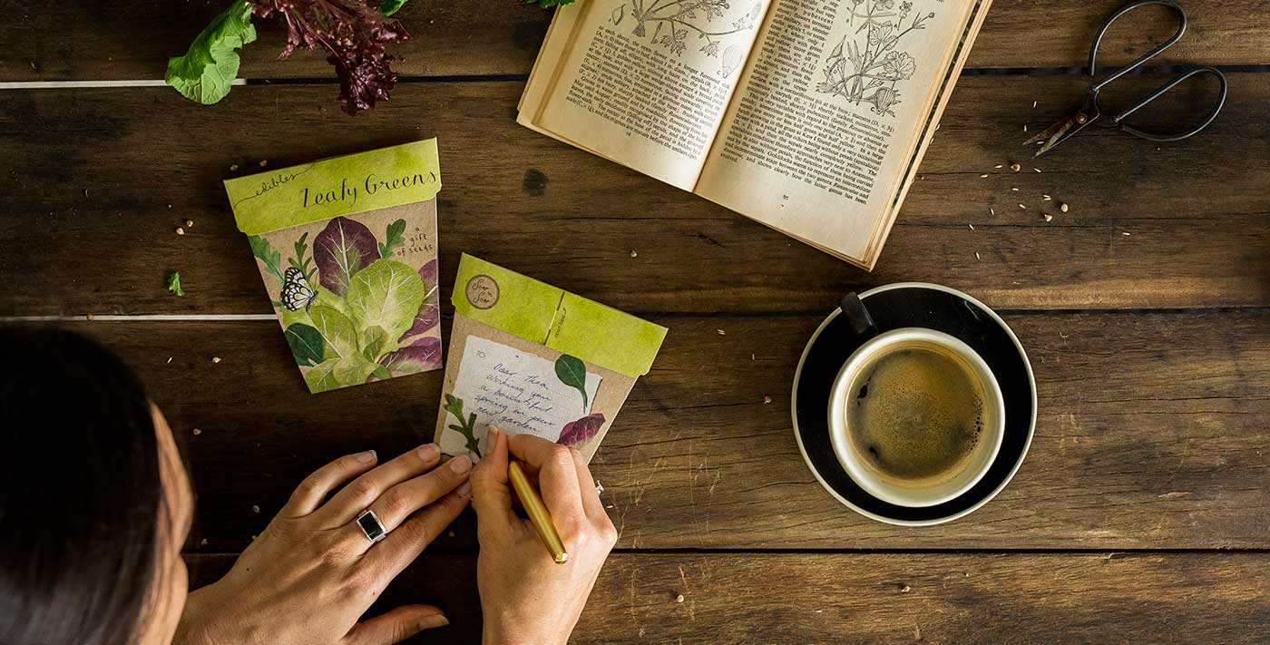 Sow 'n Sow - Vendita all'ingrosso Semi di piante - Regalo di semi di verdure a foglia verde (solo Australia)6