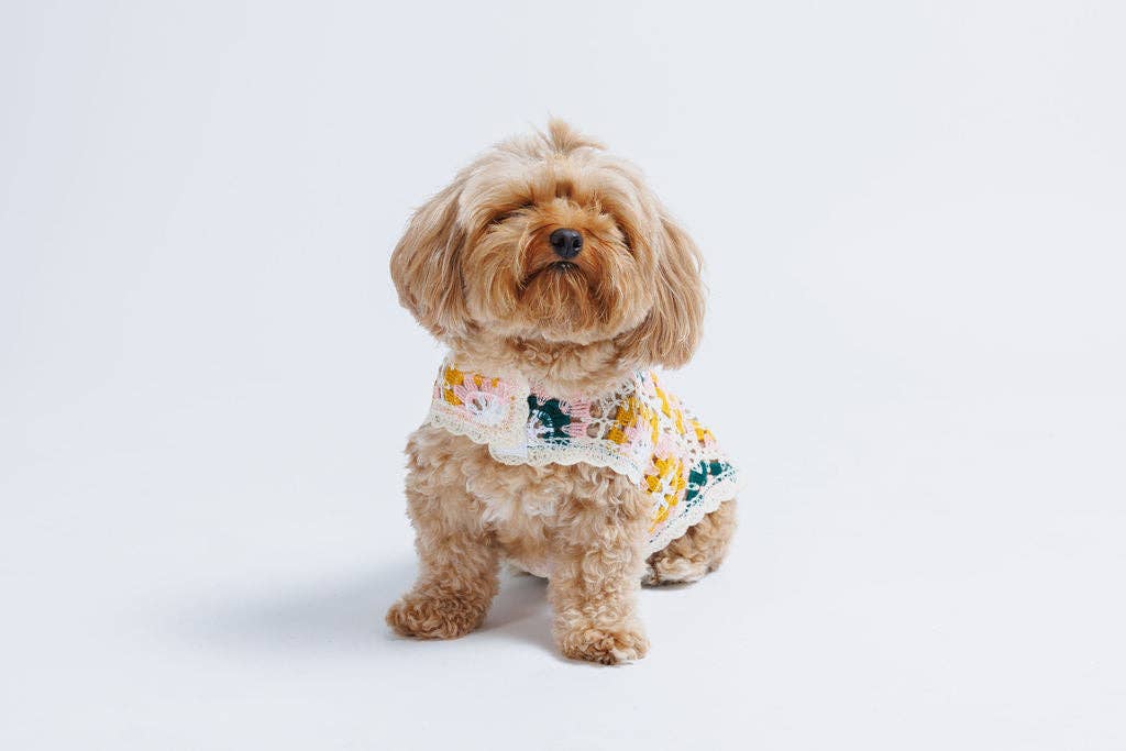 Both Tails - Wholesale Pet Shirt - Dog - Bubblegum Crochet Dog Top2