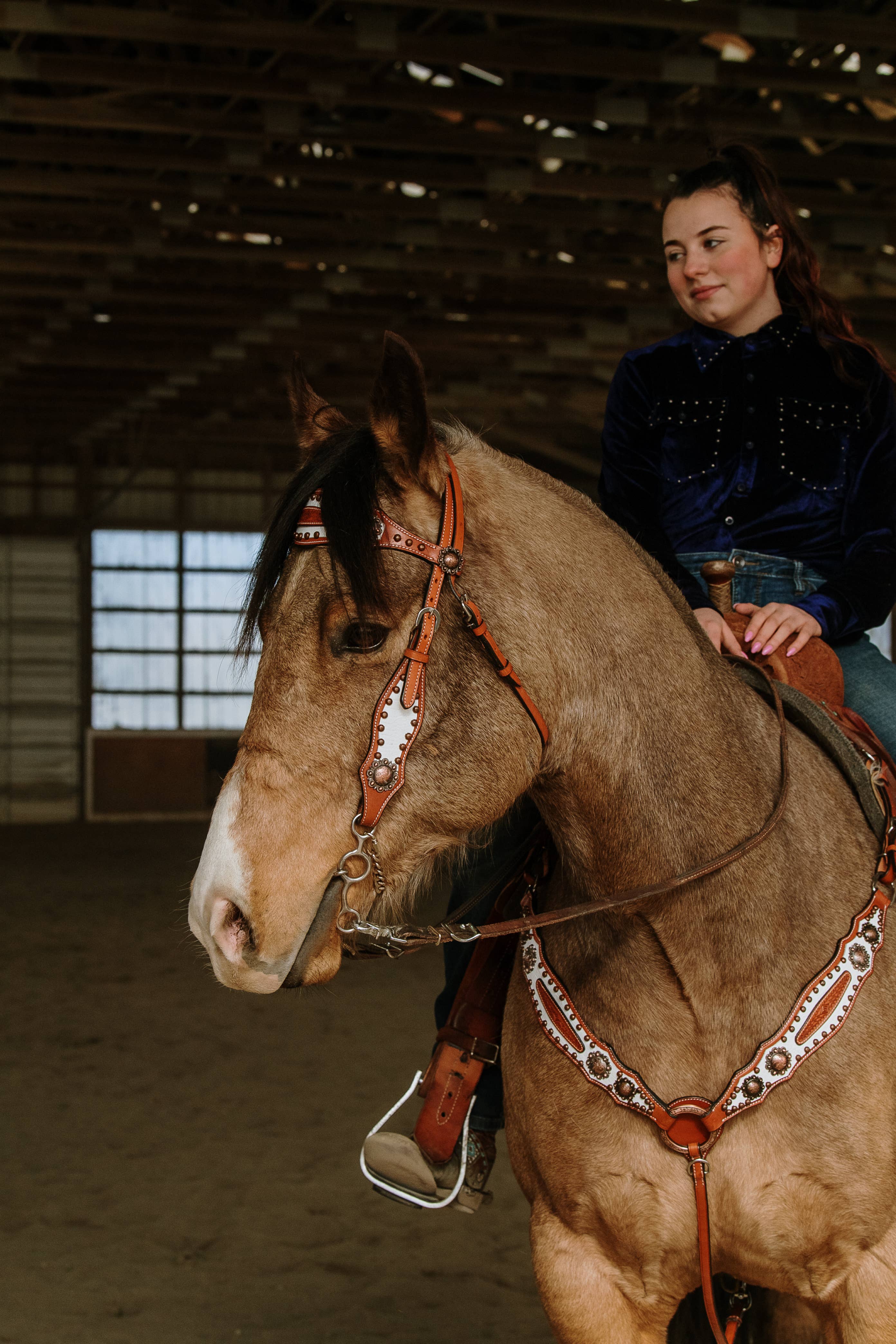 Schulz Equine - Wholesale Horseback Riding Gear - Doc Holiday Headstall and Breast Collar Set4