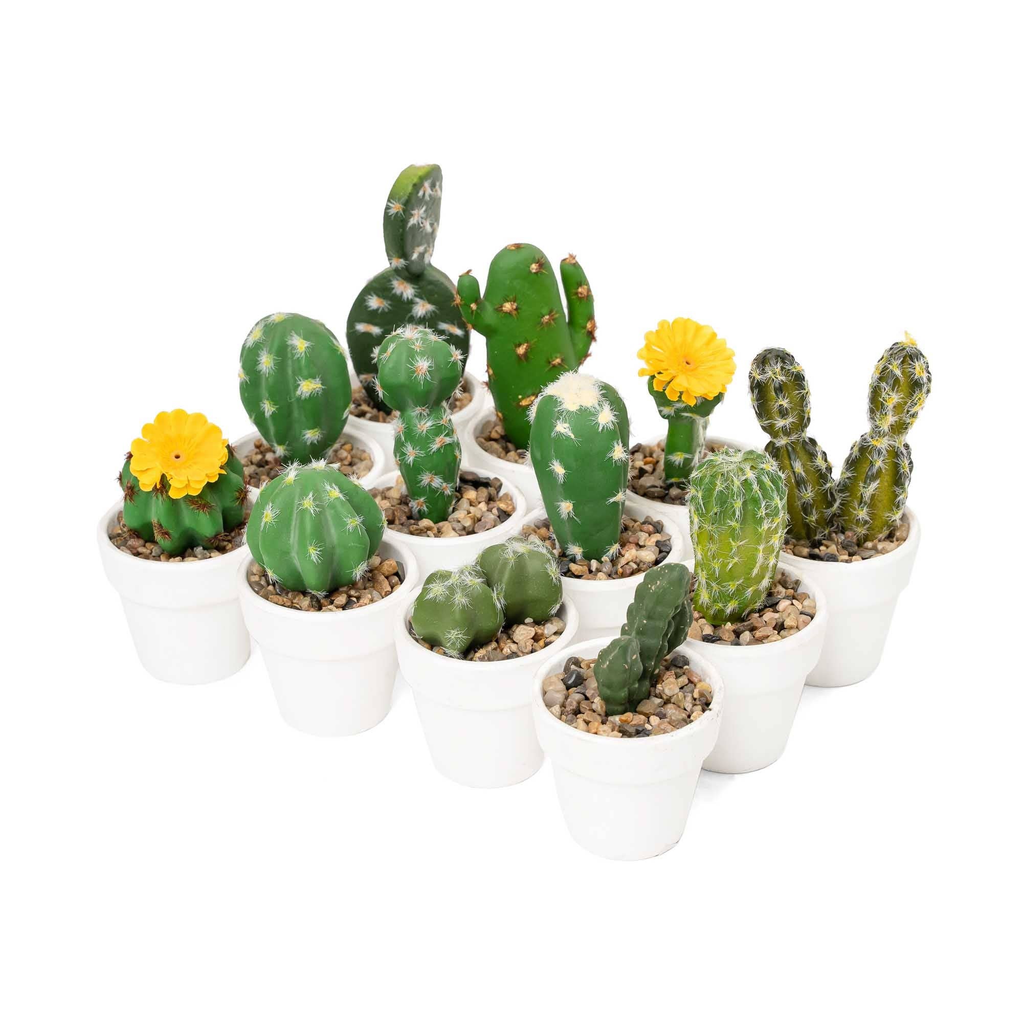 Portofino International Trading, USA - Wholesale Artificial Plant - Artificial Assorted Potted Cactus - Set of 120