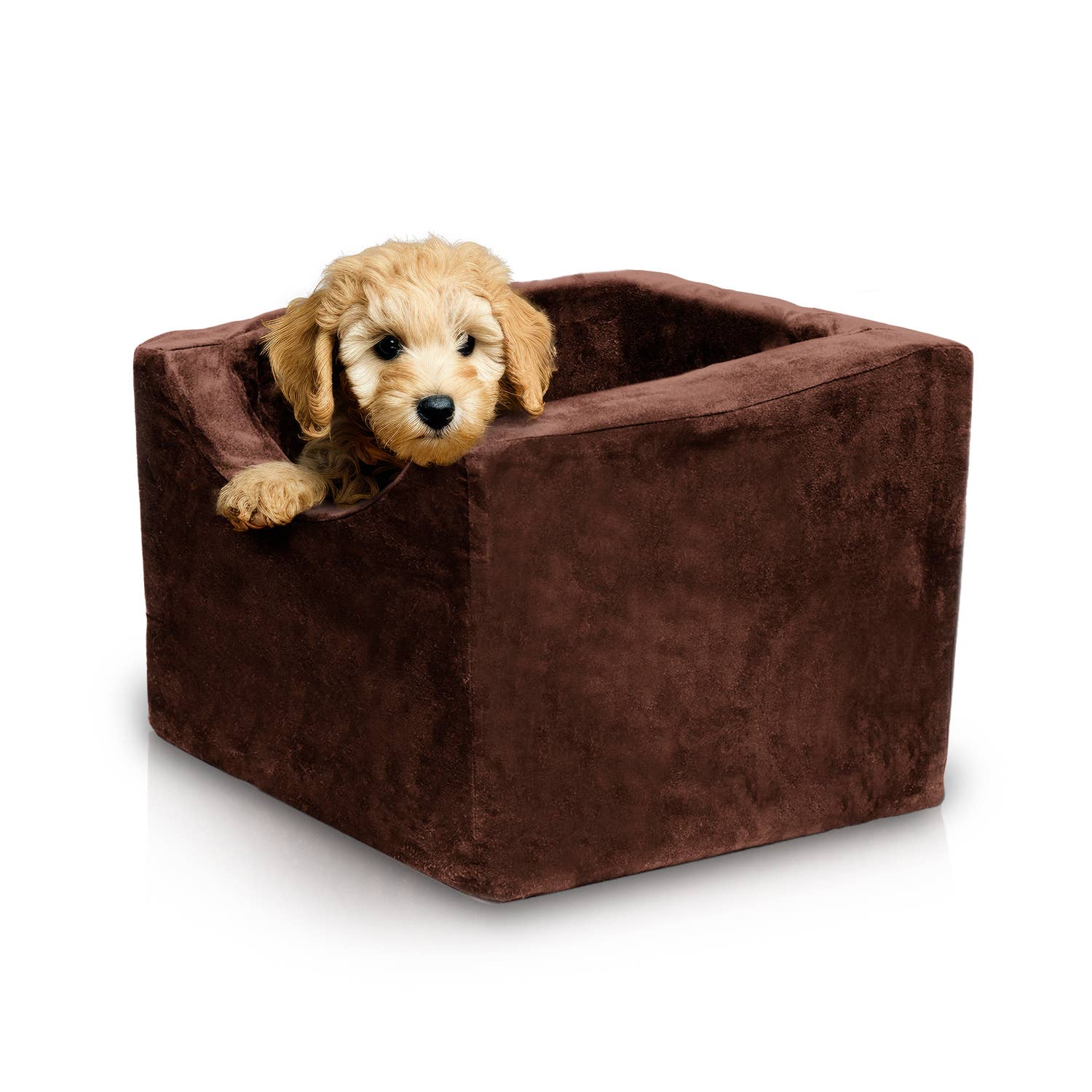 Precious Tails - Wholesale Pet Carrier - Cat/Dog - Precious Tails High Density Foam Pet Booster Seat22