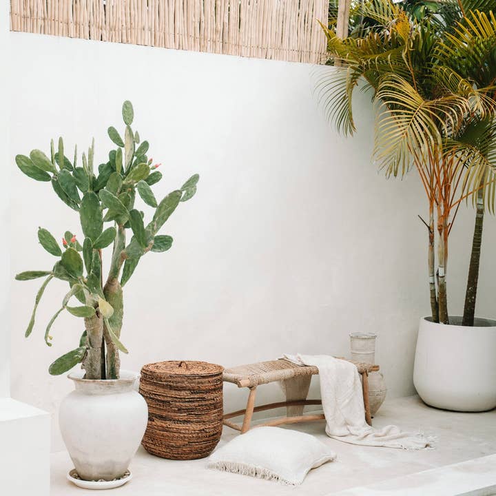 Bazar Bizar Living – Großhandel Bänke – Die Porto Seegras Bank - Natürlich - L1