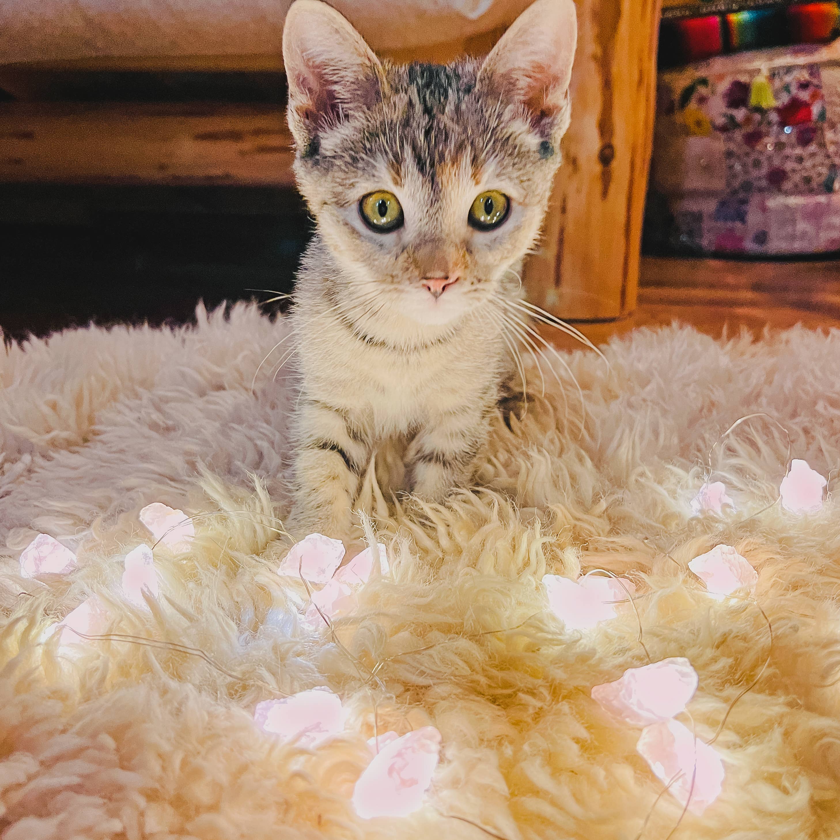 Hiouchi Jewels | Rose & Bolt Grateful Dead Jewelry - Vente Guirlandes lumineuses - Love Lights ~ Guirlandes lumineuses en cristal ~ Quartz rose1