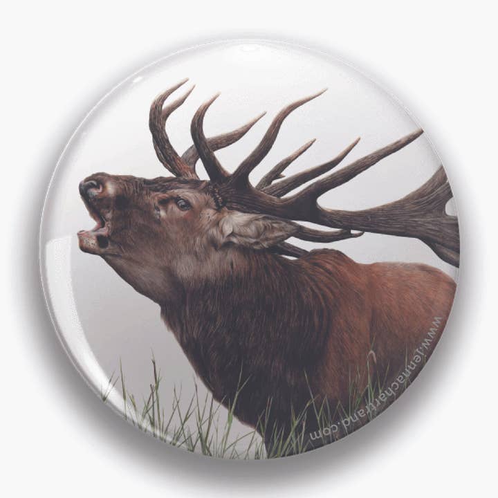 "Bellow" Red Stag 44mm Round Magnet for wholesale by Jenna Chartrand Coloured Pencil Fine Artist