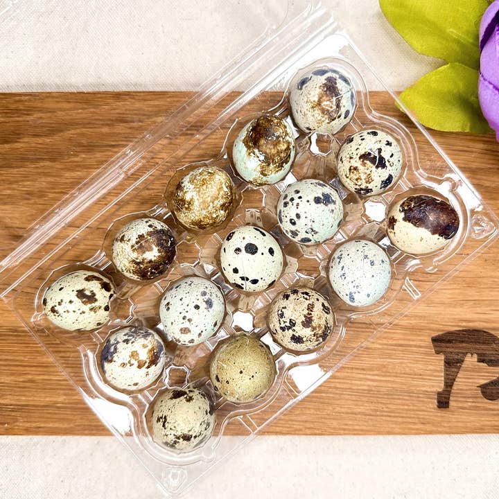 Droolicious - Wholesale Pet Treats - Dog - Freeze-dried Quail Eggs2