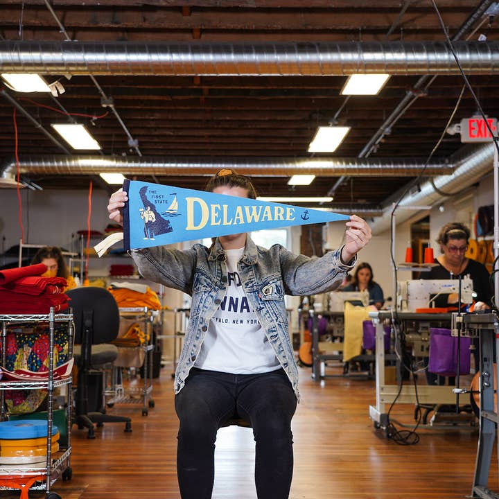 Oxford Pennant - Wholesale Flag - Delaware Pennant2