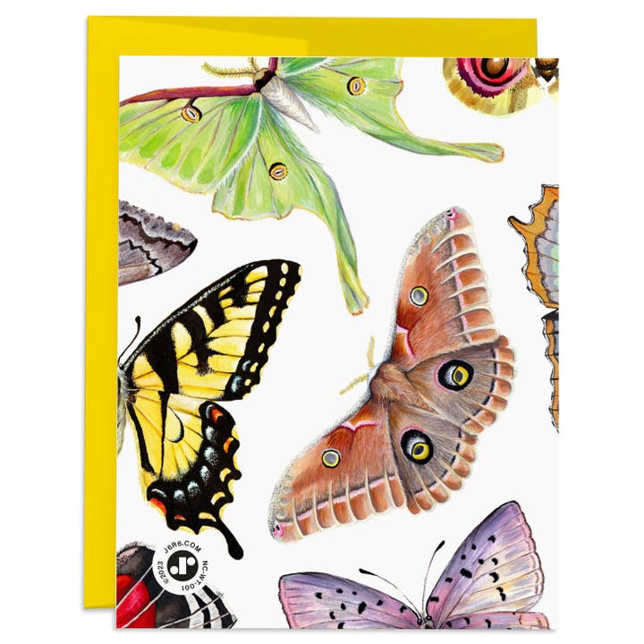 J6R6 – Cartão de saudação diária por atacado – Cartão de Borboletas e Traças – Cartão Artístico Brilhante em Branco1