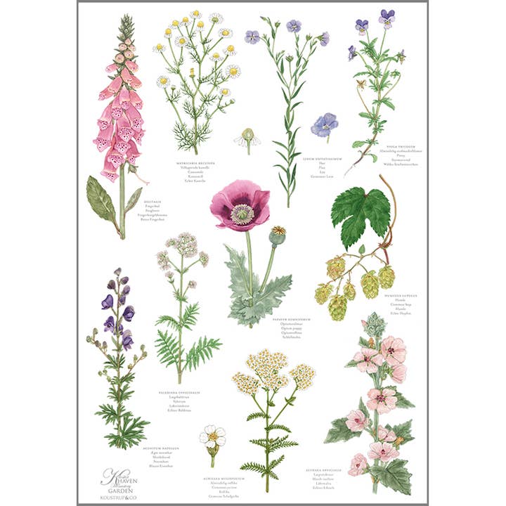Koustrupco - Wholesale Tea Towel - Monastary garden 100% organic cotton tea towel1