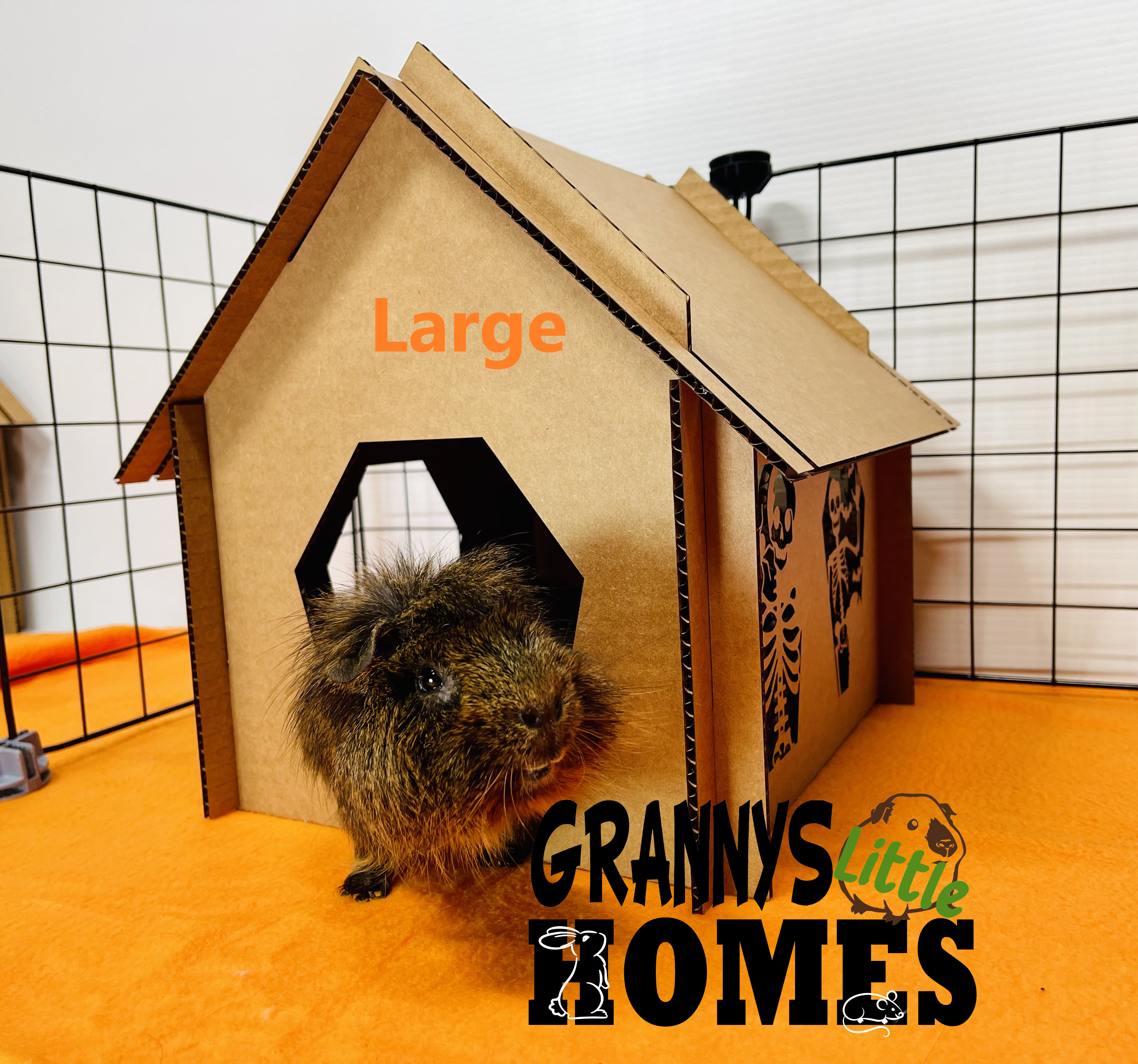 Grannys Little Homes - Wholesale Pet Cave - Cat/Dog - Cardboard Skeleton Coffin Hidey1