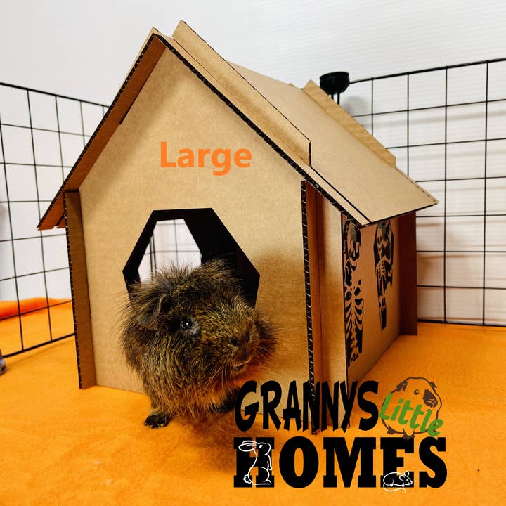 Grannys Little Homes - Wholesale Pet Cave - Cat/Dog - Cardboard Skeleton Coffin Hidey1