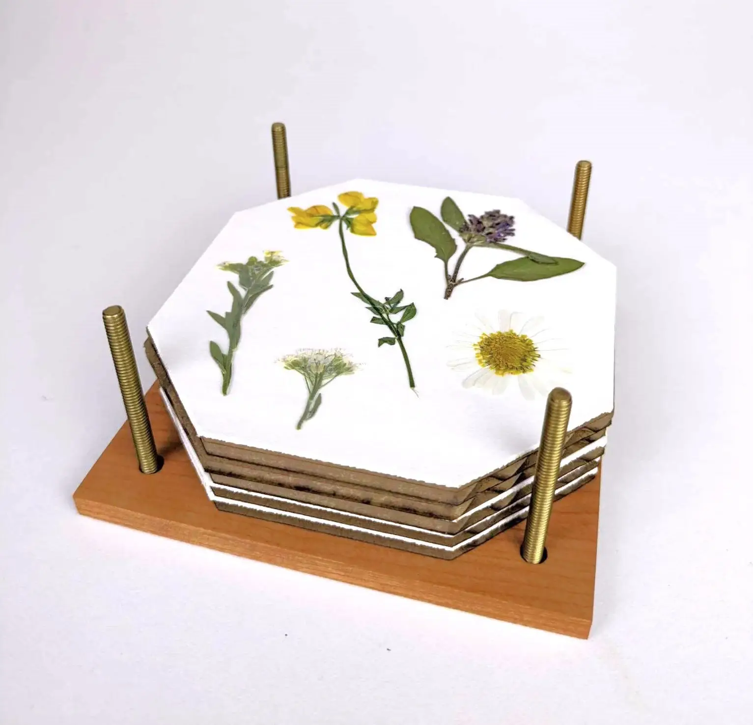 Macon Makes - Vente Kit de bricolage - Presses à fleurs miniatures en bois dur personnalisées avec logo | 4"x4"4