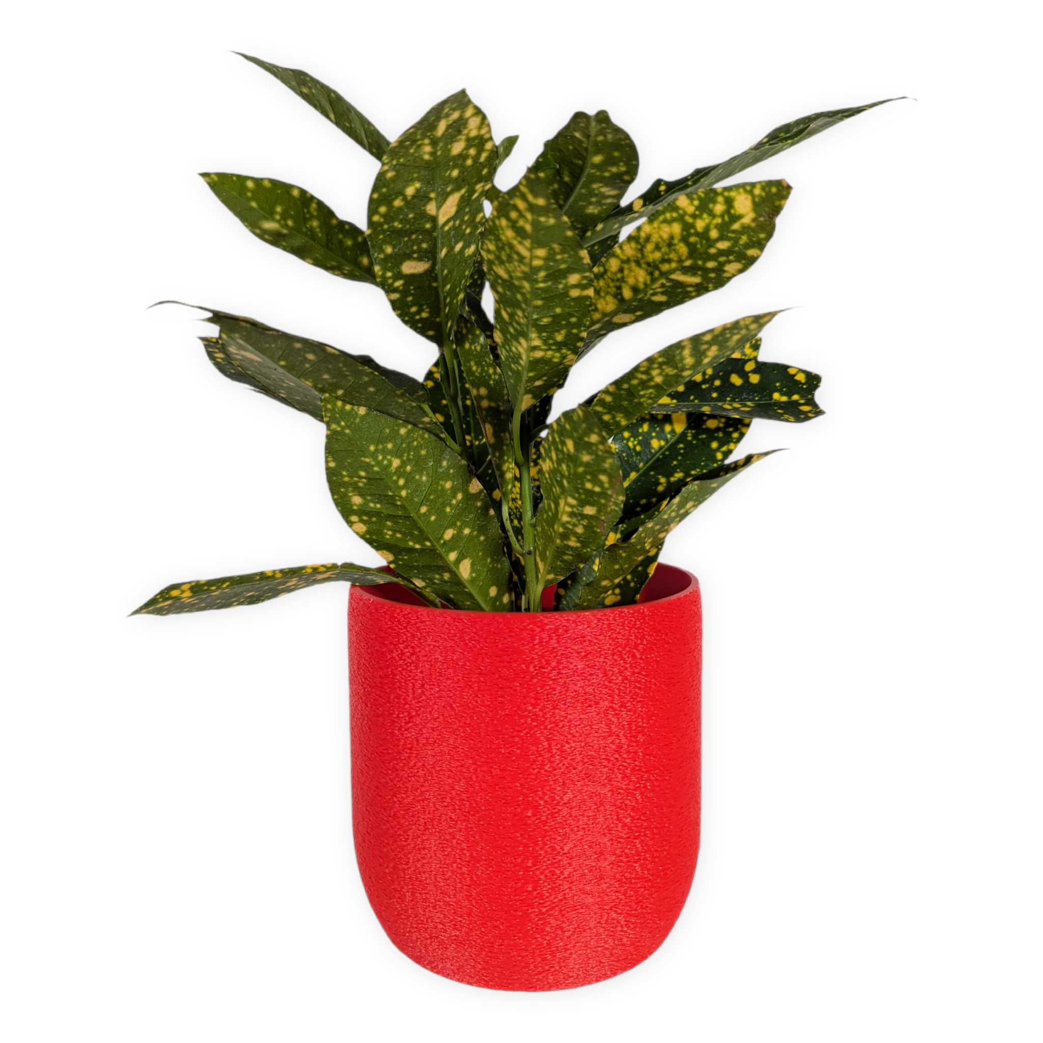 Leafprints.3d - Wholesale Plant Pot - The Moss – 4 Inch Cover Pot (No Drainage)9